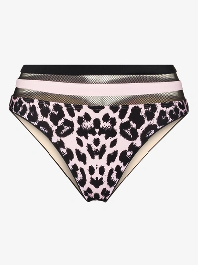 Shop Agent Provocateur Black Zenaya Mesh Leopard Print Bikini Bottoms