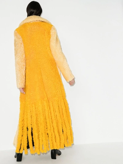 Shop Bottega Veneta Teddy Shearling Fringe Coat In Yellow