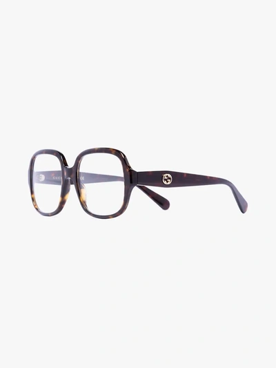 Shop Gucci Brown Havana Square Optical Glasses