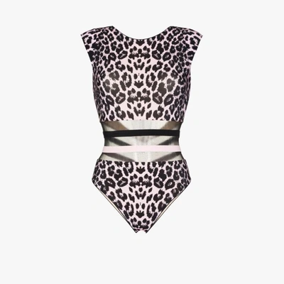 Shop Agent Provocateur Zenaya Mesh Leopard Print Swimsuit In Black