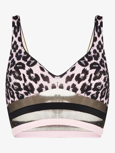 Shop Agent Provocateur Pink Zenaya Mesh Leopard Print Bikini Top