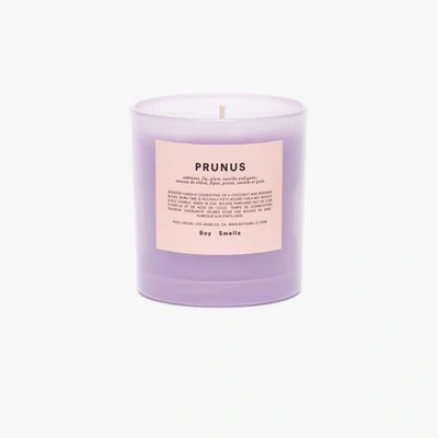 Shop Boy Smells Purple Prunus Scented Candle