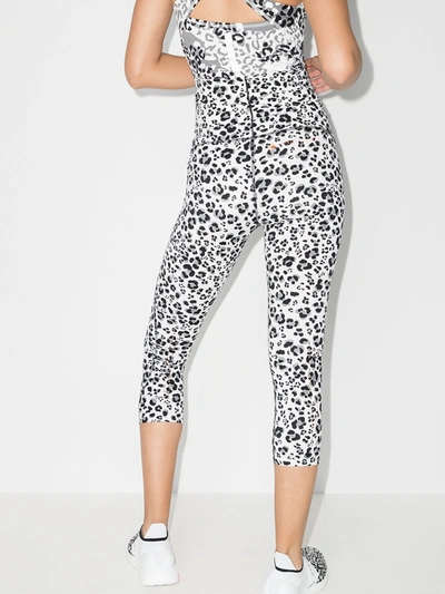 Shop Adidas By Stella Mccartney Truepurpose Leopard Print Leggings In White