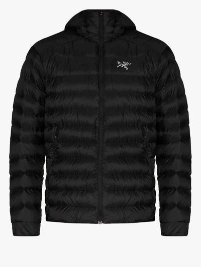 Shop Arc'teryx Black Cerium Sv Padded Jacket