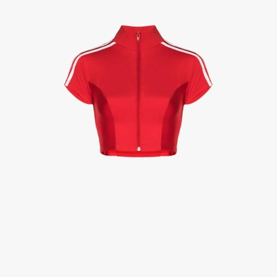 Shop Adidas Originals X Paolina Russo Crop Top In Red