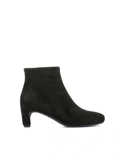 Shop Del Carlo Ankle Boot 10658 In Black