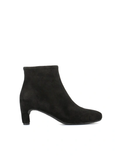 Del Carlo Zipped Ankle Boots In Black