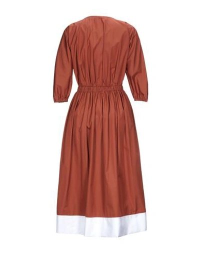 Shop N°21 Woman Midi Dress Brown Size 8 Cotton