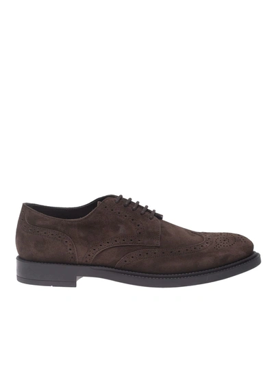 Shop Tod's Suede Derby Shoes In Brown