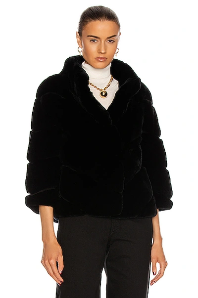 Yves Salomon Rex Rabbit Band Jacket In Noir