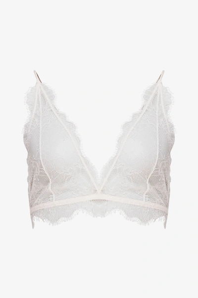 Shop Anine Bing Delicate Lace Bra In Nude Pink