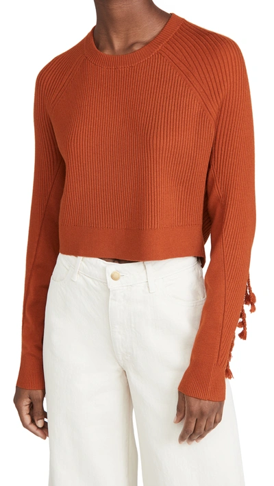 Shop Jonathan Simkhai Hannah Draped Fringe Cropped Sweater In Caramel