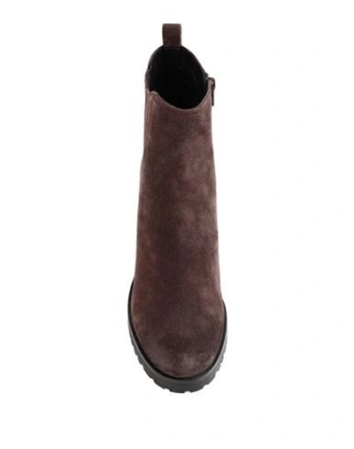 Shop Bruno Premi Woman Ankle Boots Dark Brown Size 10 Bovine Leather