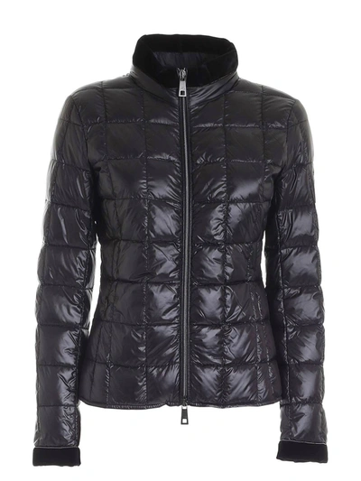 Shop Fay Light Puffer Jacked With Velvet Piping In Black