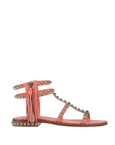 Shop Ash Sandals In Salmon Pink