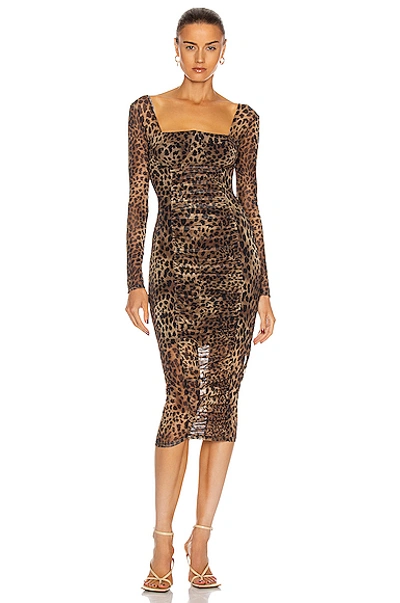 Shop Jonathan Simkhai Standard Ruched Dress In Leopard