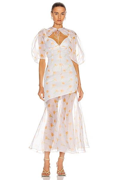 Shop Rosie Assoulin Sliced & Diced Bohemian Maxi Dress In Cantaloupe
