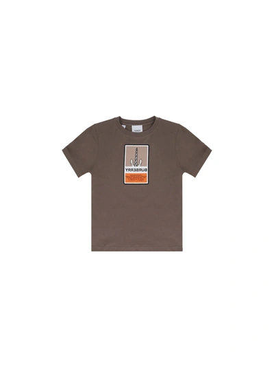Shop Burberry T-shirt For Boy In Smoke