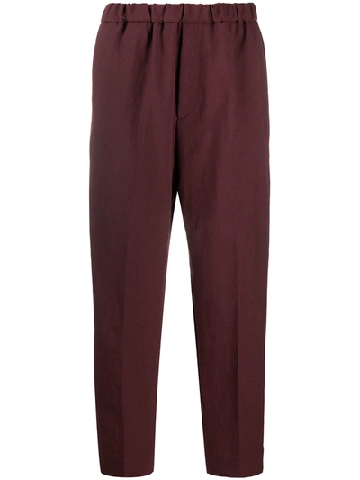 Shop Jil Sander Tapered Cropped Trousers In Brown