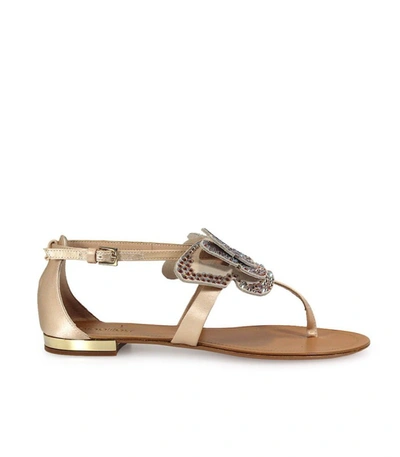 Shop Ninalilou Swarowski Butterfly Flat Thong Sandal In Beige