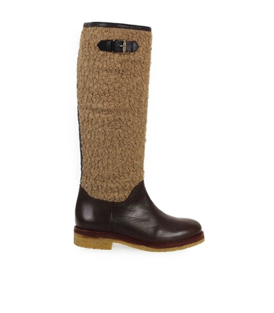 Shop Roberto Festa Belfort Brown High Boot