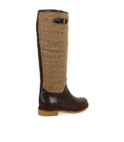 Shop Roberto Festa Belfort Brown High Boot