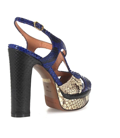 Shop L'autre Chose Tricolor Python Sandal In Multicolor