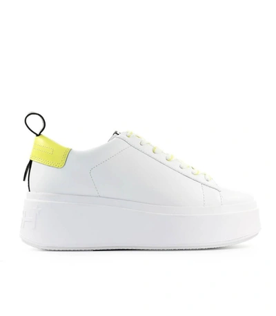 Shop Ash Moon White Yellow Platform Sneaker