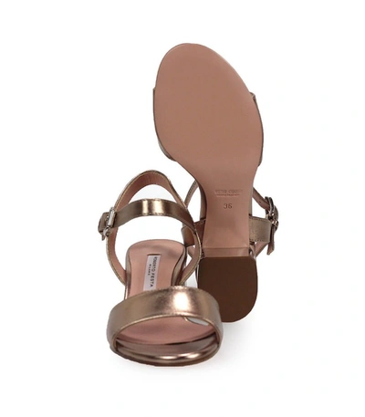 Shop Roberto Festa Divina Copper Mid-heeled Sandal In Pink
