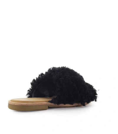 Shop Ugg Joni Black Slide