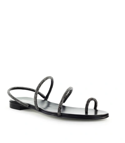 Shop Greymer Mini Campari Black Flat Sandal