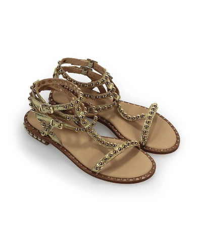 Shop Ash Play Gold Flat Sandal