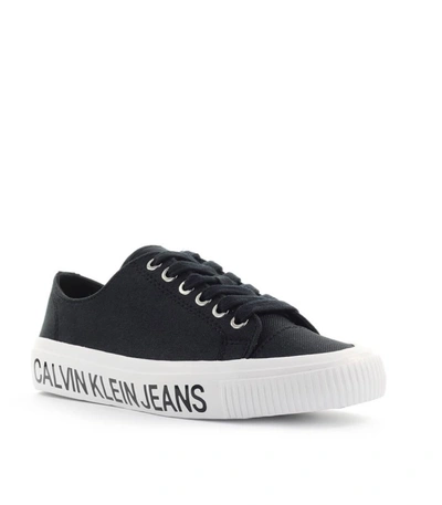 Shop Calvin Klein Destinee Black Sneaker