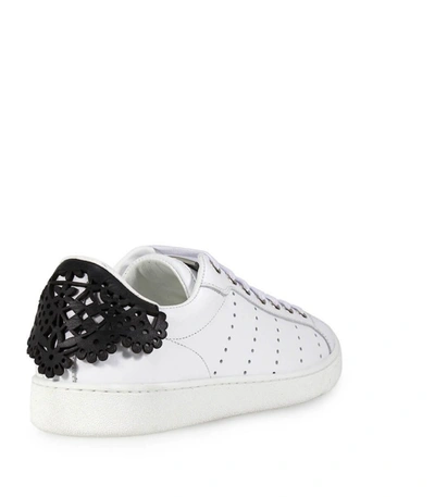Shop Dsquared2 Santa Monica White Black Lace Sneaker