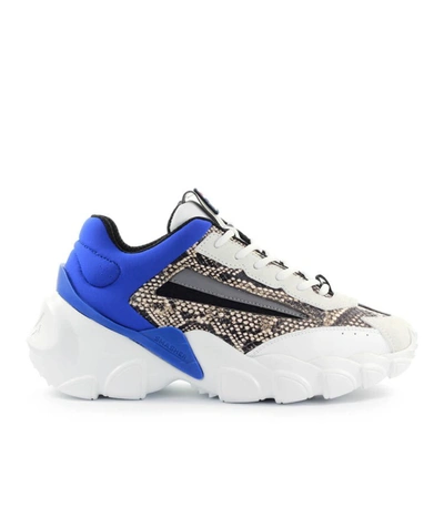 Shop Fila Smasher Wmn Royal Blue Phyton Sneaker In Multicolor