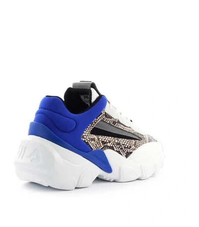 Shop Fila Smasher Wmn Royal Blue Phyton Sneaker In Multicolor