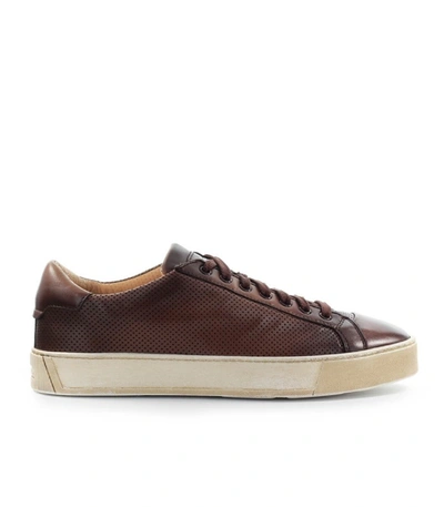 Shop Santoni Brown Leather Sneaker