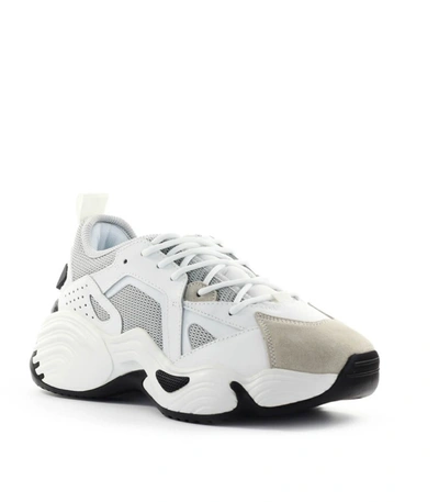 Shop Emporio Armani White Grey Mesh Suede Chunky Sneaker
