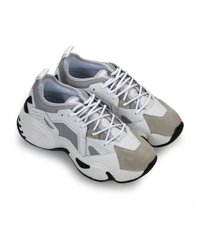 Shop Emporio Armani White Grey Mesh Suede Chunky Sneaker