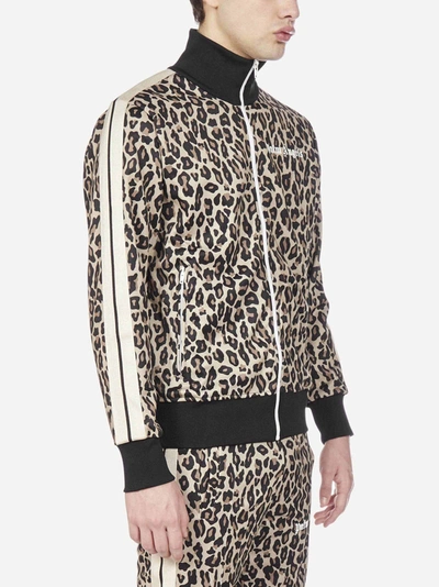 Shop Palm Angels Leopard Print Logo Tracksuit Jacket In Multicolor