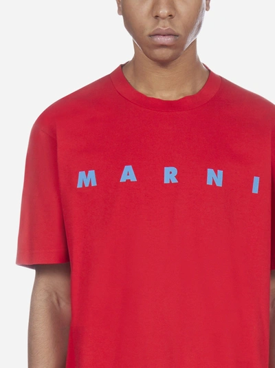 Shop Marni T-shirt In Cotone Con Logo