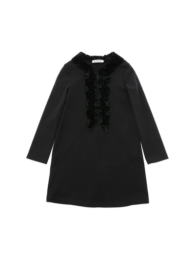 Shop Dondup Velvet Ruffles Dress In Black