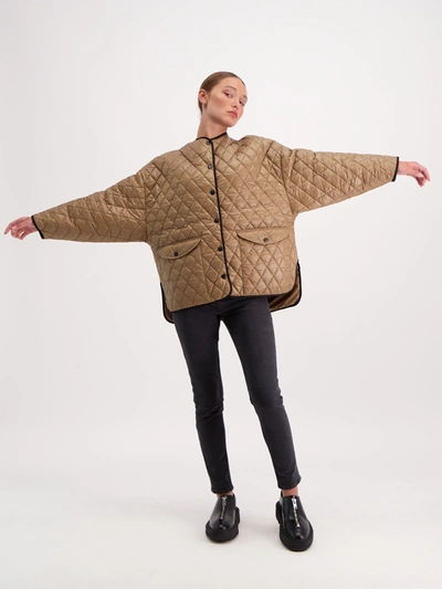 Amendi Mary Jacket In Brown