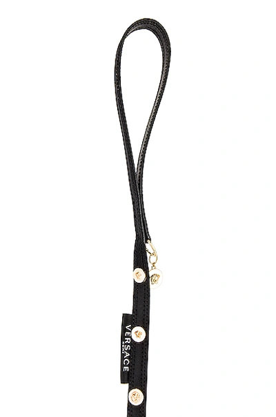 Shop Versace Barocco Leash And Collar Dog Set In Black