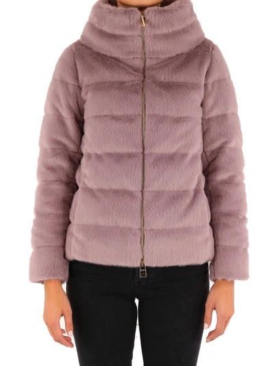 Shop Herno Ecofur Doen Jacket Purple