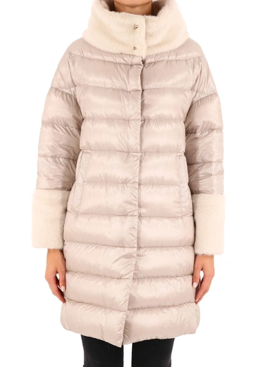 Shop Herno Down Jacket With Ecofur Beige