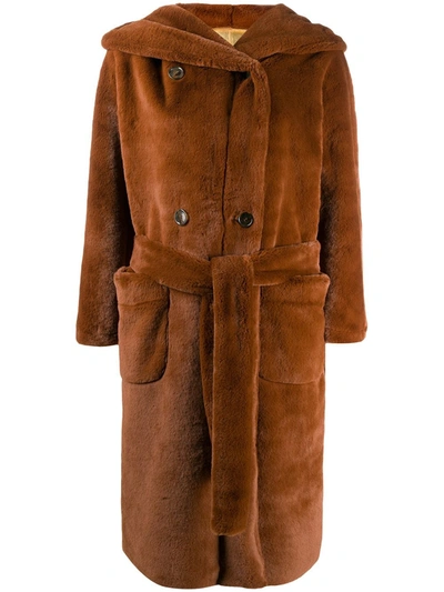 Shop Paltò Hooded Belted Coat In Brown