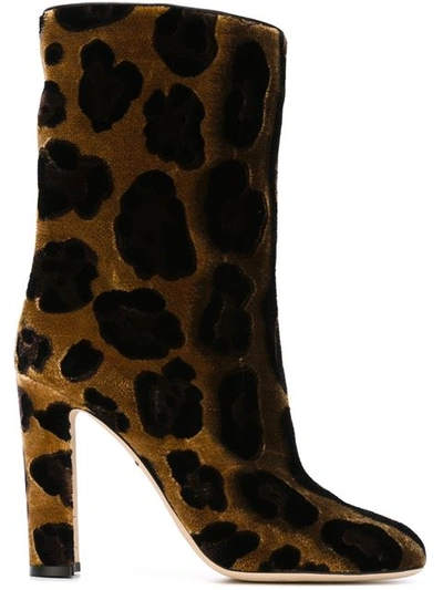 Dolce & Gabbana Embroidered Leopard-print Velvet Mid-calf Boots In Beige