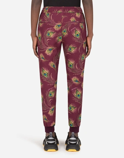 Shop Dolce & Gabbana Jersey Jogging Pants With Peacock Print In Multicolor