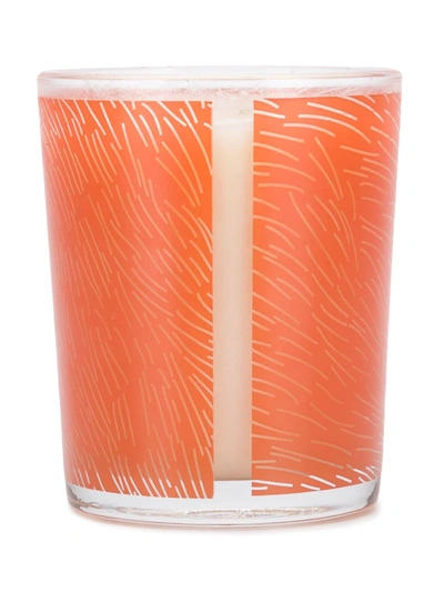 Maison Kitsuné Moss Scented Candle (190g) In Moss